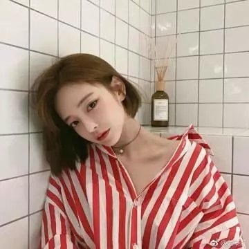白鹭谣